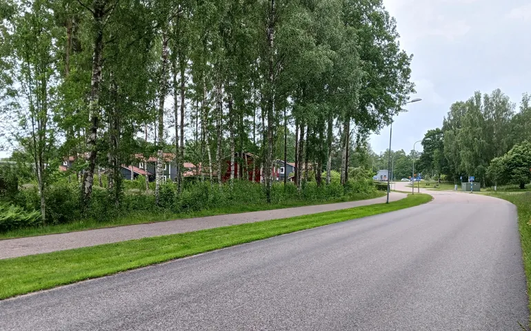 En skogsdunge och en väg i ett bostadsområde med en gång- och cykelbana längs med vägen.